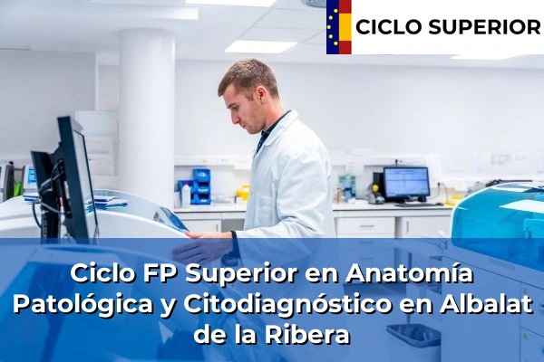 Ciclo FP de Grado Superior de Anatomía Patológica y Citodiagnóstico en Albalat de la Ribera