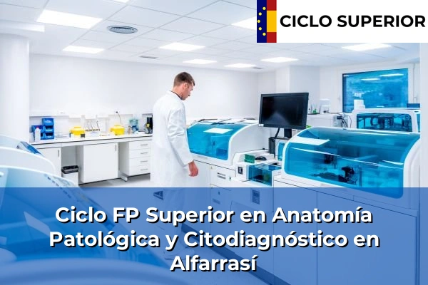 Ciclo FP de Grado Superior de Anatomía Patológica y Citodiagnóstico en Alfarrasí