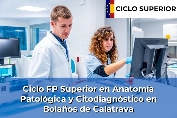 Ciclo FP de Grado Superior de Anatomía Patológica y Citodiagnóstico en Bolaños de Calatrava Ciclo FP de Grado Superior de Anatomía Patológica y Citodiagnóstico en Bolaños de Calatrava