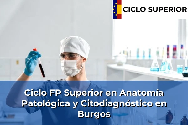 Ciclo FP de Grado Superior de Anatomía Patológica y Citodiagnóstico en Burgos Ciclo FP de Grado Superior de Anatomía Patológica y Citodiagnóstico en Burgos