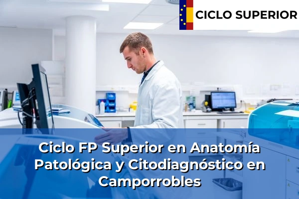 Ciclo FP de Grado Superior de Anatomía Patológica y Citodiagnóstico en Camporrobles