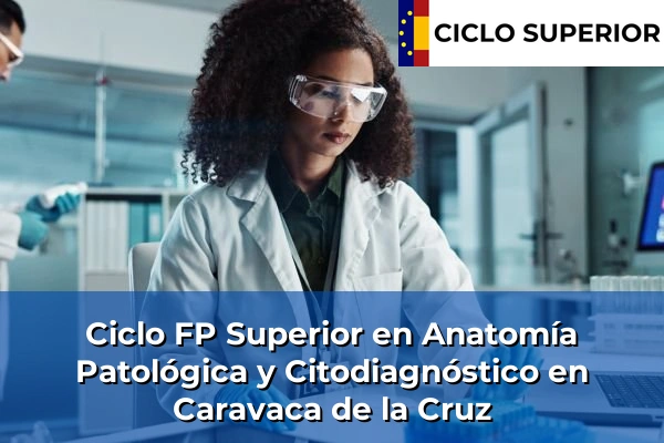 Ciclo FP de Grado Superior de Anatomía Patológica y Citodiagnóstico en Caravaca de la Cruz