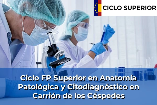 Ciclo FP de Grado Superior de Anatomía Patológica y Citodiagnóstico en Carrión de los Céspedes