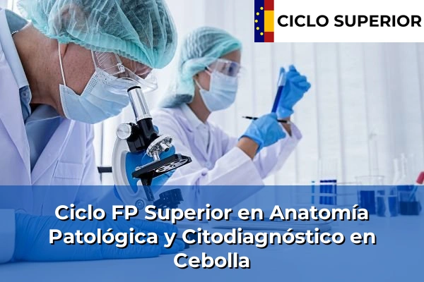 Ciclo FP de Grado Superior de Anatomía Patológica y Citodiagnóstico en Cebolla Ciclo FP de Grado Superior de Anatomía Patológica y Citodiagnóstico en Cebolla
