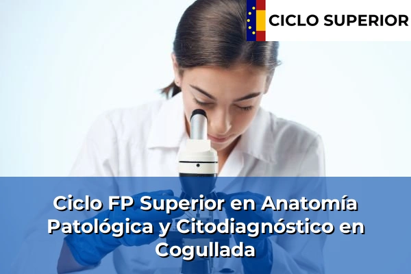 Ciclo FP de Grado Superior de Anatomía Patológica y Citodiagnóstico en Cogullada