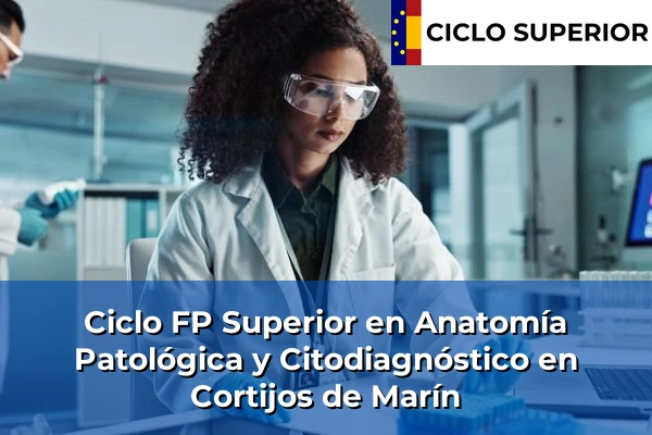 Ciclo FP de Grado Superior de Anatomía Patológica y Citodiagnóstico en Cortijos de Marín