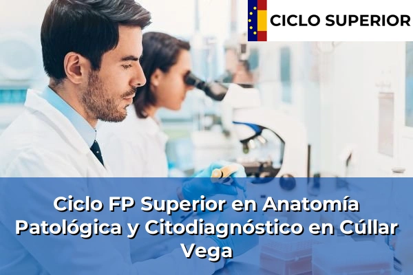 Ciclo FP de Grado Superior de Anatomía Patológica y Citodiagnóstico en Cúllar Vega