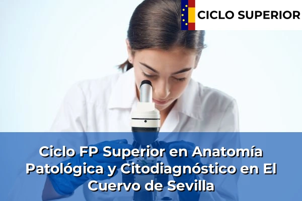 Ciclo FP de Grado Superior de Anatomía Patológica y Citodiagnóstico en El Cuervo de Sevilla