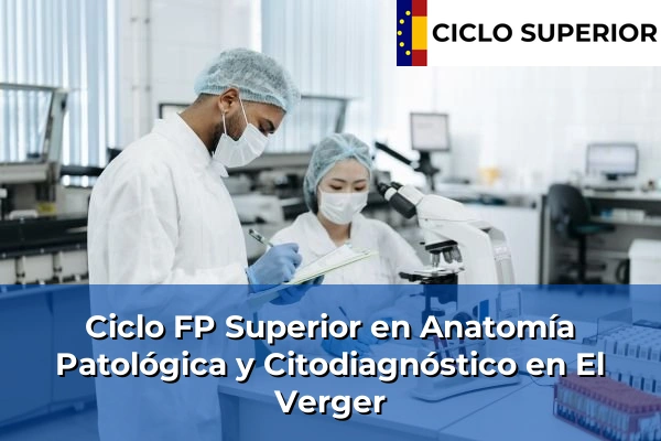 Ciclo FP de Grado Superior de Anatomía Patológica y Citodiagnóstico en El Verger