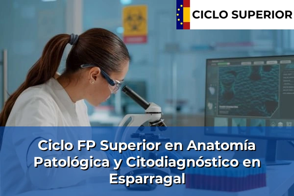 Ciclo FP de Grado Superior de Anatomía Patológica y Citodiagnóstico en Esparragal