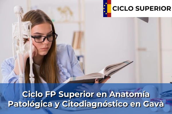 Ciclo FP de Grado Superior de Anatomía Patológica y Citodiagnóstico en Gavà
