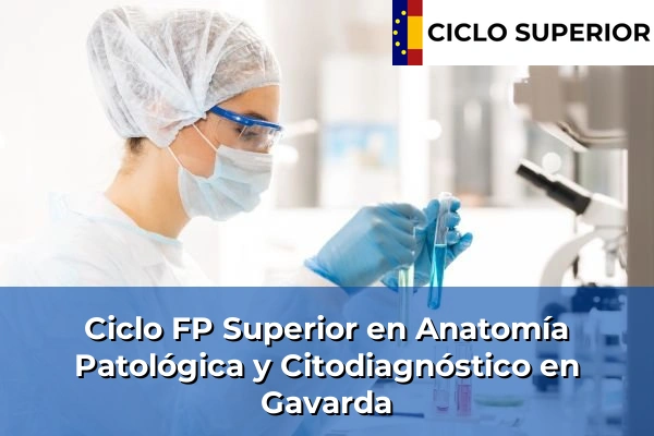 Ciclo FP de Grado Superior de Anatomía Patológica y Citodiagnóstico en Gavarda