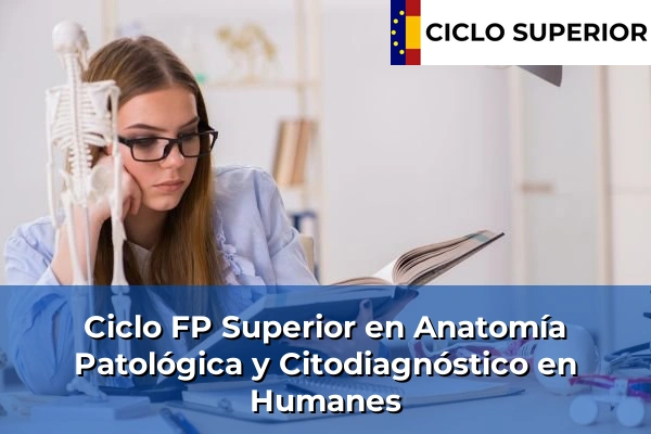 Ciclo FP de Grado Superior de Anatomía Patológica y Citodiagnóstico en Humanes Ciclo FP de Grado Superior de Anatomía Patológica y Citodiagnóstico en Humanes