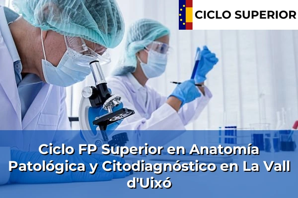 Ciclo FP de Grado Superior de Anatomía Patológica y Citodiagnóstico en La Vall d'Uixó