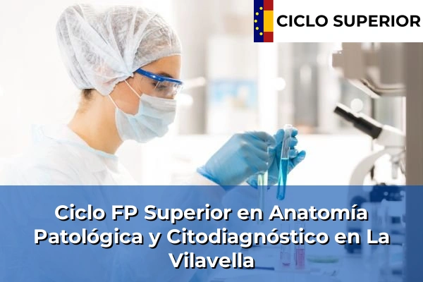 Ciclo FP de Grado Superior de Anatomía Patológica y Citodiagnóstico en La Vilavella