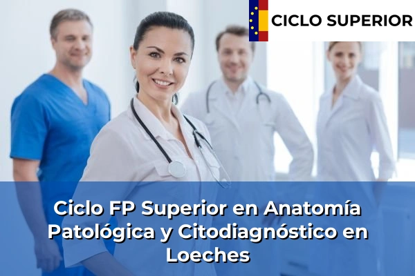 Ciclo FP de Grado Superior de Anatomía Patológica y Citodiagnóstico en Loeches Ciclo FP de Grado Superior de Anatomía Patológica y Citodiagnóstico en Loeches
