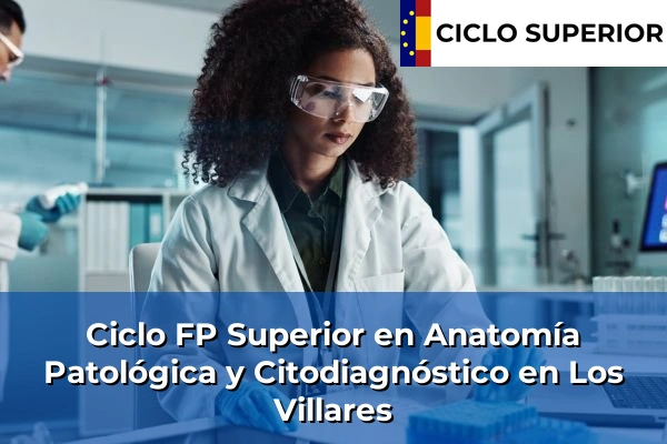 Ciclo FP de Grado Superior de Anatomía Patológica y Citodiagnóstico en Los Villares