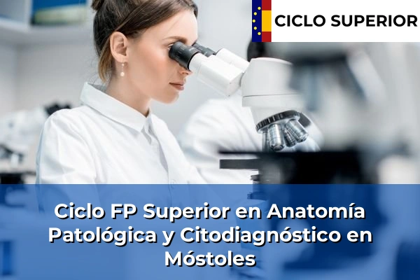 Ciclo FP de Grado Superior de Anatomía Patológica y Citodiagnóstico en Móstoles Ciclo FP de Grado Superior de Anatomía Patológica y Citodiagnóstico en Móstoles