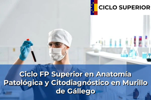 Ciclo FP de Grado Superior de Anatomía Patológica y Citodiagnóstico en Murillo de Gállego