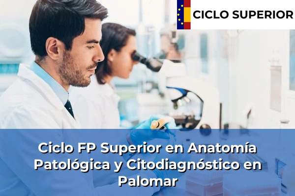 Ciclo FP de Grado Superior de Anatomía Patológica y Citodiagnóstico en Palomar