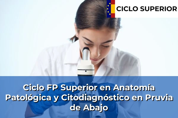 Ciclo FP de Grado Superior de Anatomía Patológica y Citodiagnóstico en Pruvia de Abajo