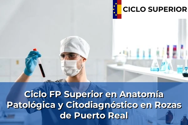 Ciclo FP de Grado Superior de Anatomía Patológica y Citodiagnóstico en Rozas de Puerto Real Ciclo FP de Grado Superior de Anatomía Patológica y Citodiagnóstico en Rozas de Puerto Real