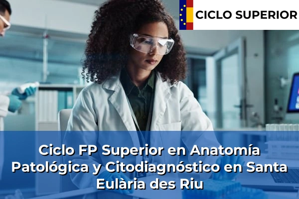 Ciclo FP de Grado Superior de Anatomía Patológica y Citodiagnóstico en Santa Eulària des Riu Ciclo FP de Grado Superior de Anatomía Patológica y Citodiagnóstico en Santa Eulària des Riu