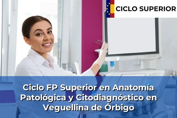 Ciclo FP de Grado Superior de Anatomía Patológica y Citodiagnóstico en Veguellina de Órbigo Ciclo FP de Grado Superior de Anatomía Patológica y Citodiagnóstico en Veguellina de Órbigo