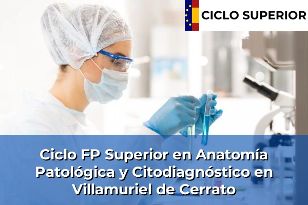 Ciclo FP de Grado Superior de Anatomía Patológica y Citodiagnóstico en Villamuriel de Cerrato Ciclo FP de Grado Superior de Anatomía Patológica y Citodiagnóstico en Villamuriel de Cerrato