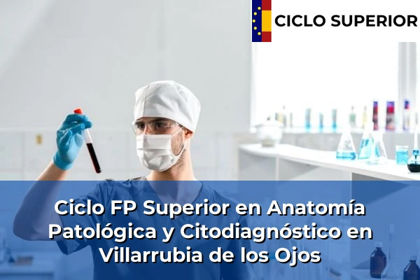 Ciclo FP de Grado Superior de Anatomía Patológica y Citodiagnóstico en Villarrubia de los Ojos Ciclo FP de Grado Superior de Anatomía Patológica y Citodiagnóstico en Villarrubia de los Ojos