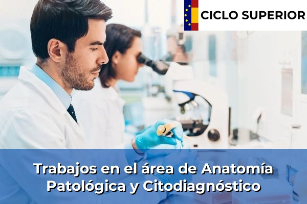 Empleo y salidas laborales en Anatomía Patológica y Citodiagnóstico